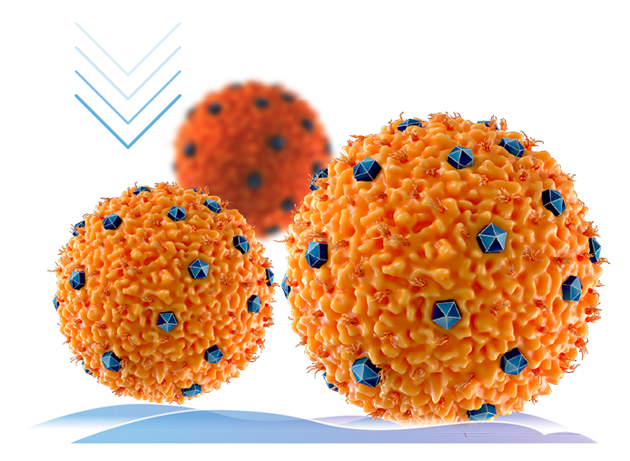 Xiidra inhibits t-cell migration to the ocular surface graphic.